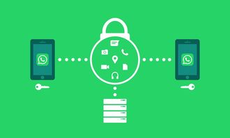 乐鱼体育官网登录-体育新闻采编流程中的内容安全机制构建，体育新闻报道要求